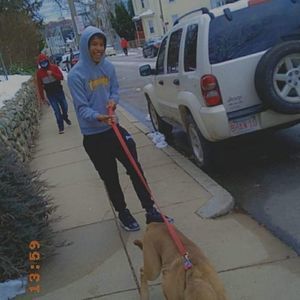 Meet your Posher, Gilson